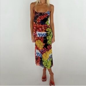 Zara Dress mesh midi Fruit Sheer Lined Thin shoulder straps NWT Size M